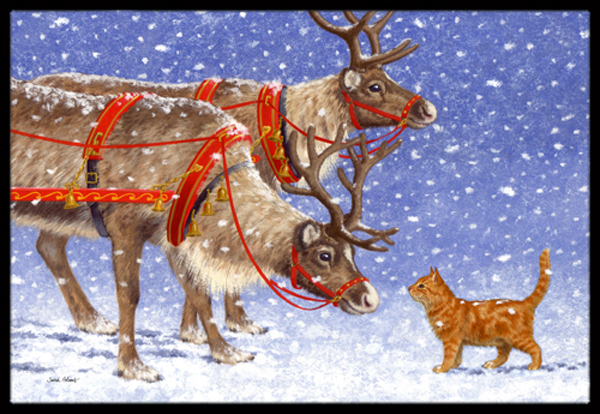 Reindeer & Cat Indoor or Outdoor Mat, 24 x 36