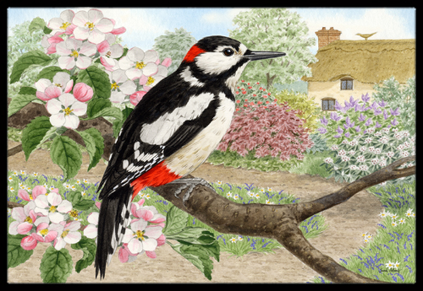 Woodpecker Indoor or Outdoor Mat- 24 x 36