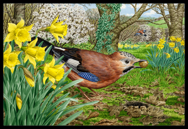 Jay Indoor or Outdoor Mat- 24 x 36