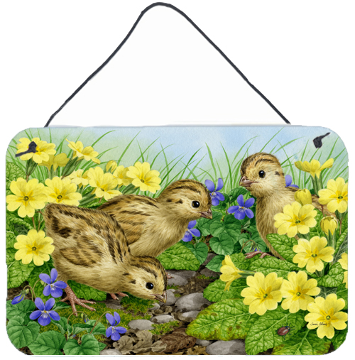 Pheasant Chicks Wall or Door Hanging Prints