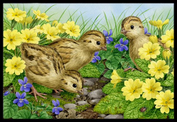 ASA2177JMAT Pheasant Chicks Indoor or Outdoor Mat- 24 x 36