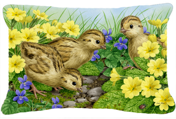 Pheasant Chicks Fabric Decorative Pillow