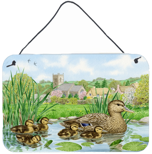 Mallard Duck Wall or Door Hanging Prints