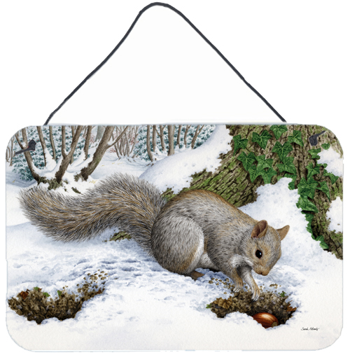 Grey Squirrel Wall or Door Hanging Prints