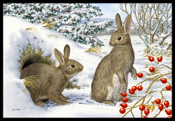 Winter Rabbits Indoor or Outdoor Mat, 18 x 27