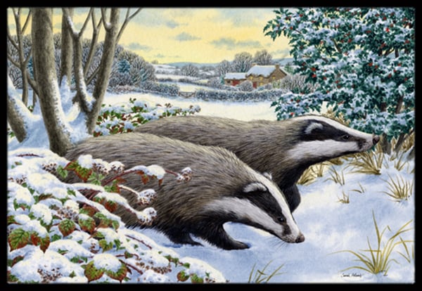 Winter Badgers Indoor or Outdoor Mat, 18 x 27