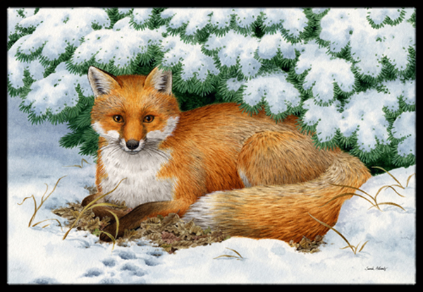 Winter Fox Indoor or Outdoor Mat 24 x 36