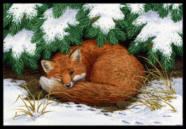 Naptime Fox Indoor or Outdoor Mat- 24 x 36