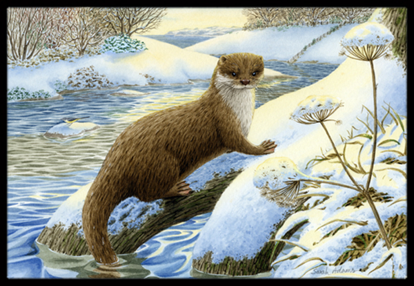 Winter Otter Indoor or Outdoor Mat- 18 x 27