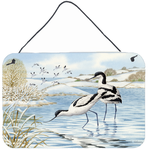 Avocet Wall or Door Hanging Prints
