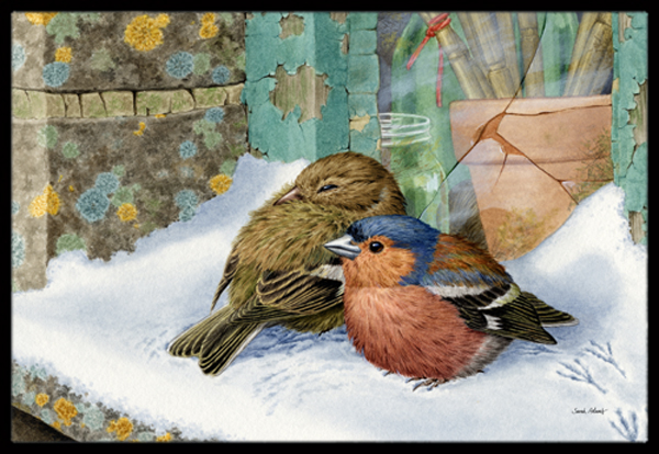 Chaffinches Indoor or Outdoor Mat- 24 x 36