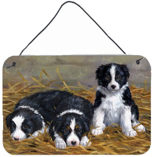Border Collie Puppies Wall or Door Hanging Prints