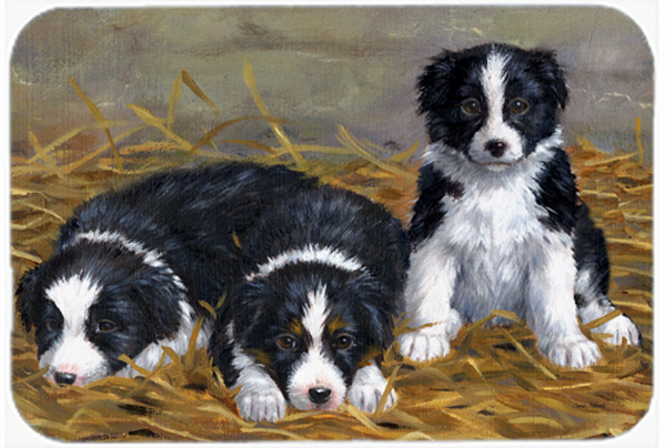 Picture of Carolines Treasures ASA2196LCB Border Collie Puppies Glass Large Cutting Board