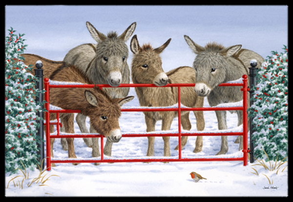 Donkeys & Robin Indoor or Outdoor Mat- 18 x 27