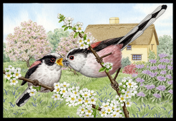 Long Tailed Tits Indoor or Outdoor Mat - 18 x 27