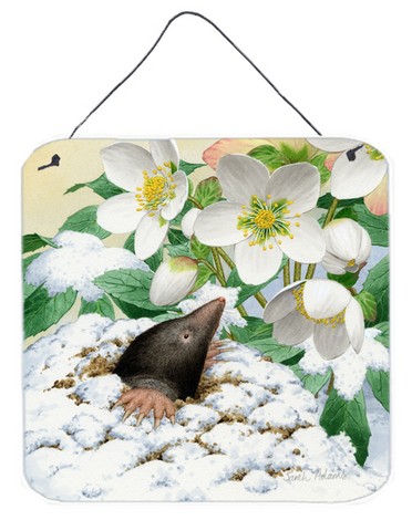 Mole by Sarah Adams Wall or Door Hanging Prints