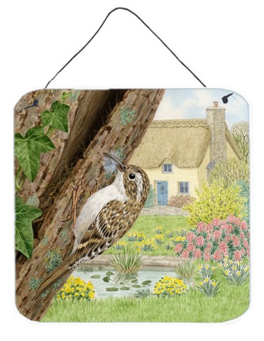 Treecreeper by Sarah Adams Wall or Door Hanging Prints