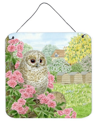 Tawny Owlet by Sarah Adams Wall or Door Hanging Prints
