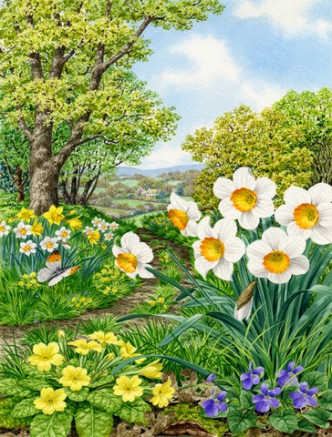 Spring Flowers by Sarah Adams Flag Canvas House Size