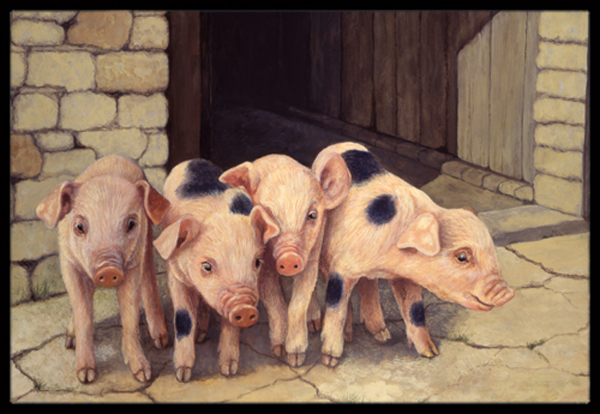 Pigs Piglets by Daphne Baxter Indoor or Outdoor Mat, 24 x 36
