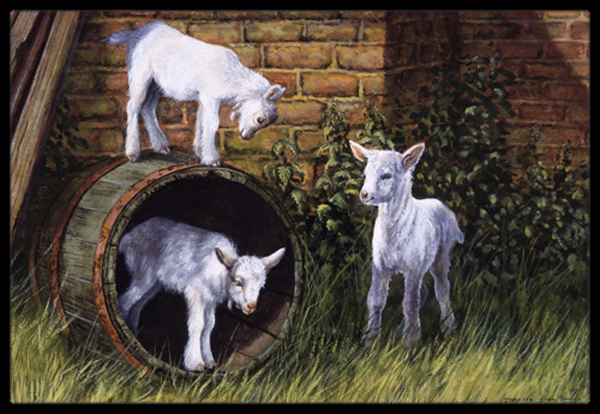 Goats by Daphne Baxter Indoor or Outdoor Mat, 24 x 36