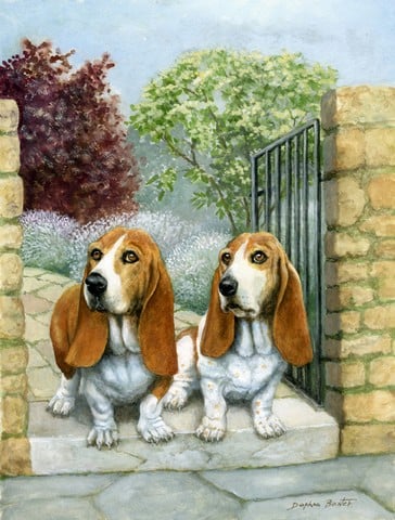 Basset Hounds in the Gate Flag Garden Size
