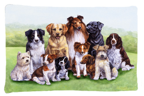 Springtime Dogs Fabric Standard Pillowcase