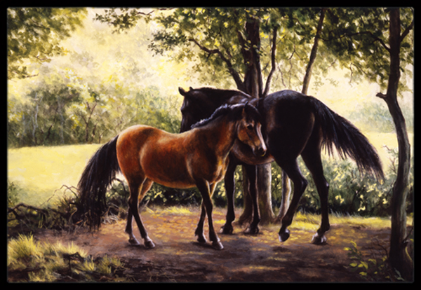 Horses by Daphne Baxter Indoor or Outdoor Mat, 24 x 36