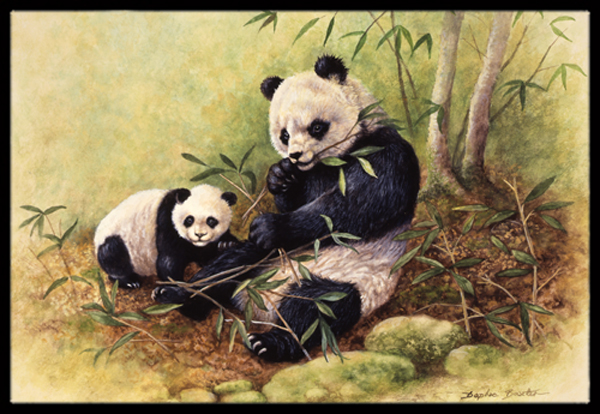 Panda Bears by Daphne Baxter Indoor or Outdoor Mat, 24 x 36