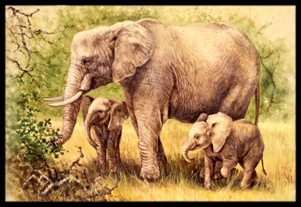 Elephants by Daphne Baxter Indoor or Outdoor Mat- 24 x 36