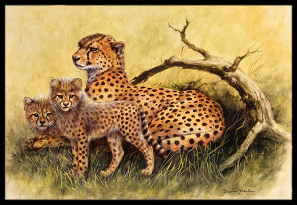 Cheetahs by Daphne Baxter Indoor or Outdoor Mat 24 x 36