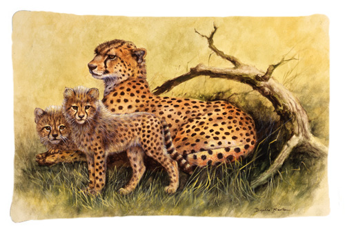 Cheetahs by Daphne Baxter Fabric Standard Pillowcase