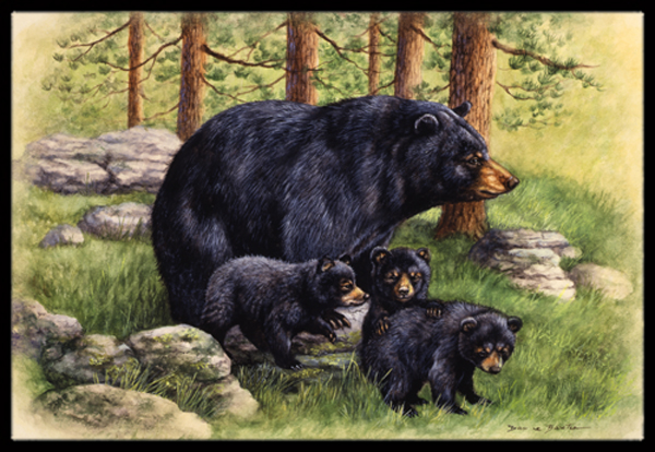 Black Bears by Daphne Baxter Indoor or Outdoor Mat, 24 x 36