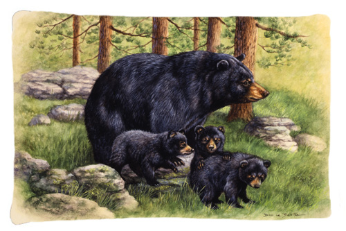 Black Bears by Daphne Baxter Fabric Standard Pillowcase