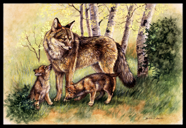 BDBA0115JMAT Wolf Wolves by Daphne Baxter Indoor or Outdoor Mat- 24 x 36