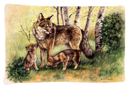 Wolf Wolves by Daphne Baxter Fabric Standard Pillowcase