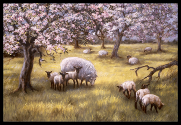 BDBA0133JMAT Sheep by Daphne Baxter Indoor or Outdoor Mat- 24 x 36