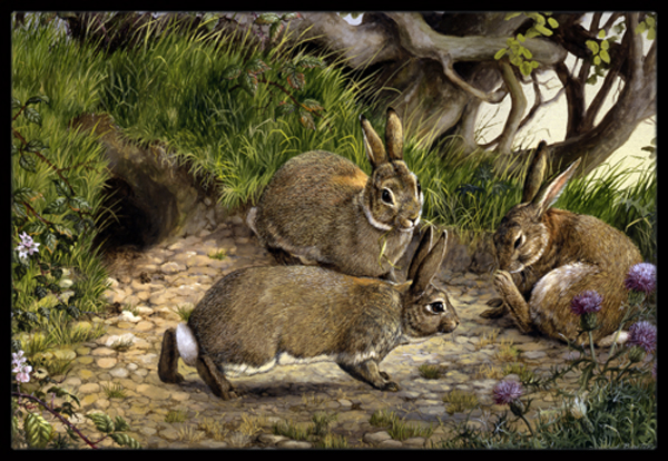 Rabbits & the Rabbit Hole Indoor or Outdoor Mat, 18 x 27