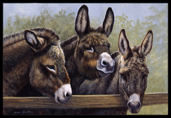 Donkeys by Daphne Baxter Indoor or Outdoor Mat, 24 x 36