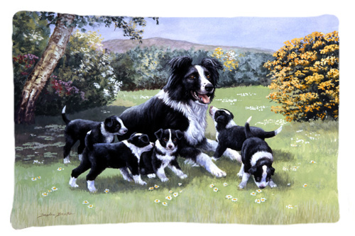 Border Collie Puppies with Momma Fabric Standard Pillowcase