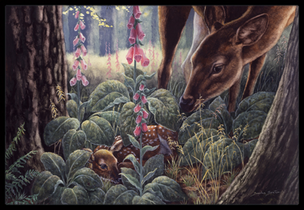 Doe & Fawn Deer Indoor or Outdoor Mat