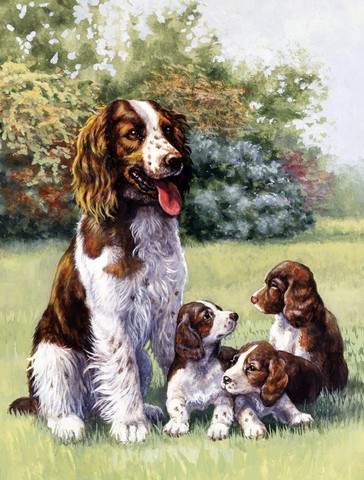 Springer Spaniels by Daphne Baxter Flag Garden Size