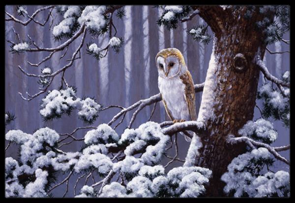 BDBA0303MAT Owl on a Tree Branch in the Snow Indoor or Outdoor Mat- 18 x 27