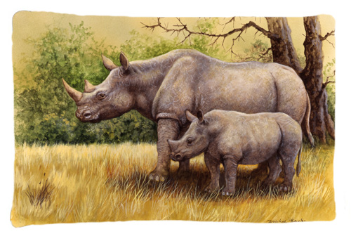 Rhinoceros by Daphne Baxter Fabric Standard Pillowcase