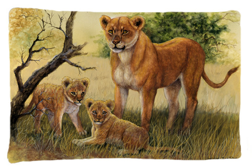 Lion & Cubs by Daphne Baxter Fabric Standard Pillowcase