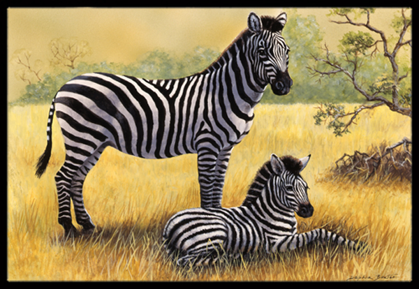 Zebras by Daphne Baxter Indoor or Outdoor Mat, 24 x 36
