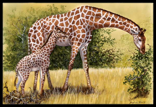 Giraffes by Daphne Baxter Indoor or Outdoor Mat- 18 x 27