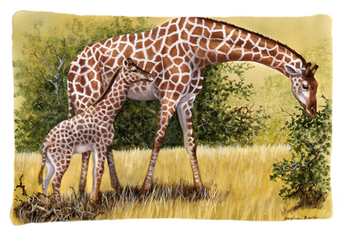 Giraffes by Daphne Baxter Fabric Standard Pillowcase