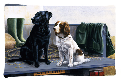 On the Tailgate Labrador & Springer Spaniel Fabric Standard Pillowcase