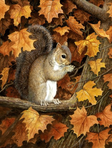 Autumn Grey Squirrel by Daphne Baxter Flag Canvas House Size